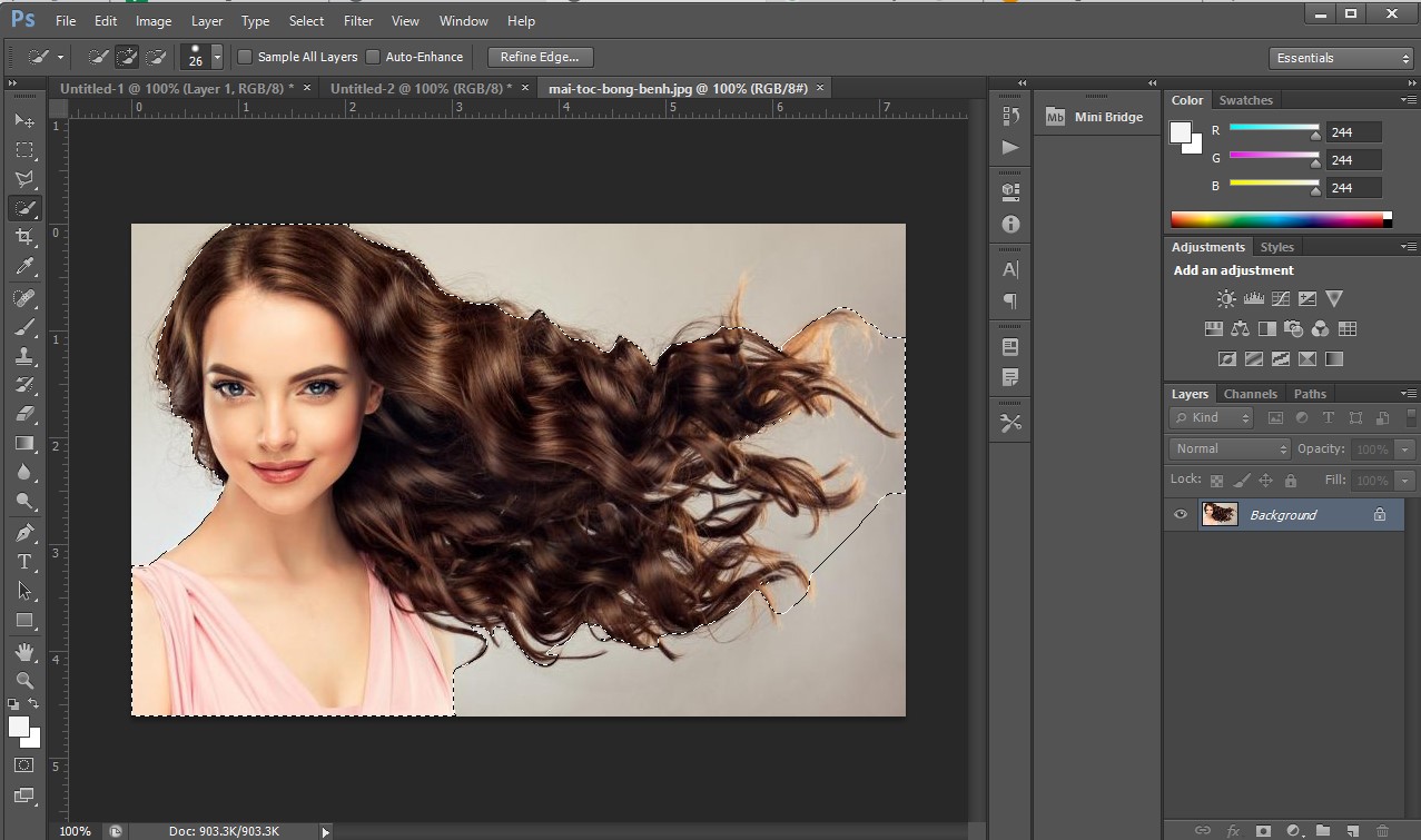 Hướng dẫn tách tóc bằng photoshop - tạo vùng chọn